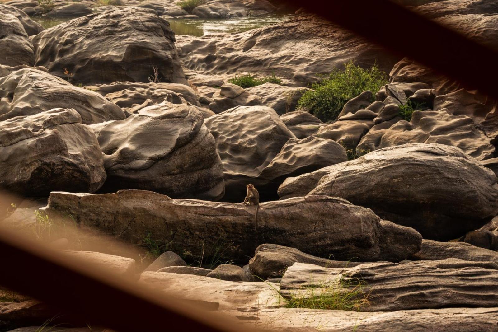 Leo Woods Hampi River View Hotell Exteriör bild